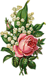 0_bd581_b9fb5cb_S (92x150, 29Kb)